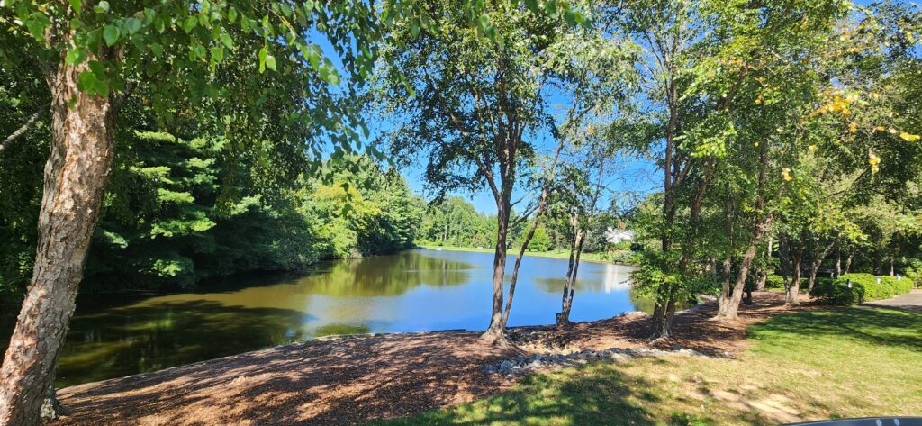 Lake at Lake Pointe Landing